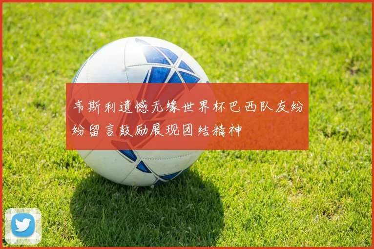 韦斯利遗憾无缘世界杯巴西队友纷纷留言鼓励展现团结精神